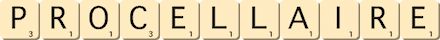 procellaire