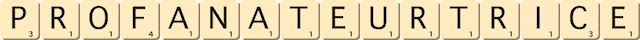 profanateur--trice