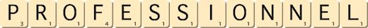 professionnel professionnel