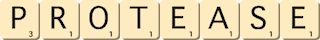protease protease