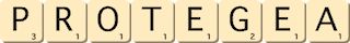protegea protegea