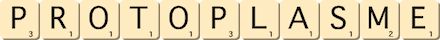 protoplasme protoplasme