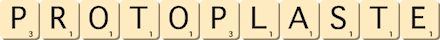 protoplaste