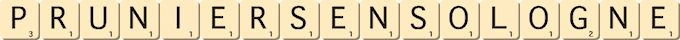pruniers-en-sologne