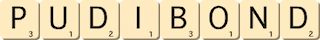 pudibond