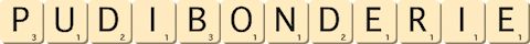 pudibonderie pudibonderie