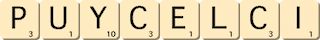 puycelci