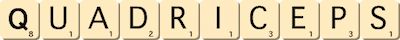 quadriceps quadriceps