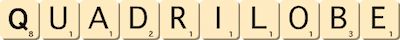 quadrilobe quadrilobe
