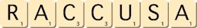 raccusa raccusa