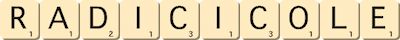 radicicole
