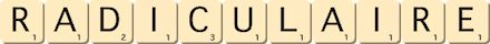 radiculaire