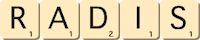 radis radis