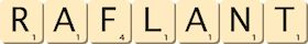 raflant raflant