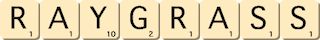 ray-grass ray-grass