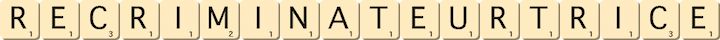 recriminateur--trice