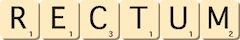 rectum