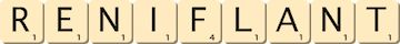reniflant reniflant