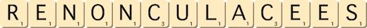 renonculacees