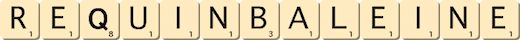 requin-baleine requin-baleine