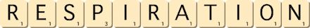 respiration