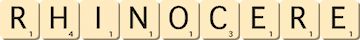 rhinocere