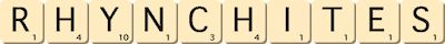 rhynchites rhynchites