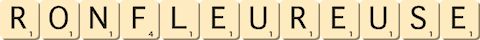 ronfleur--euse