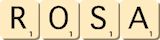 rosa rosa