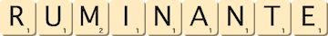 ruminante