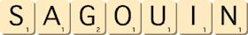 sagouin