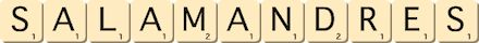 salamandres salamandres