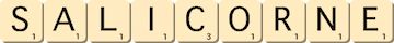 salicorne salicorne