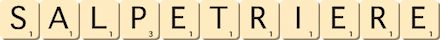 salpetriere