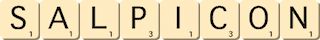 salpicon