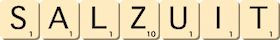 salzuit