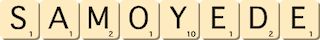 samoyede samoyede