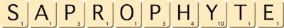 saprophyte