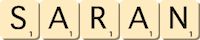 saran saran