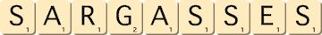 sargasses