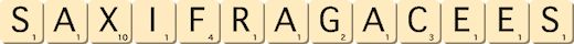 saxifragacees