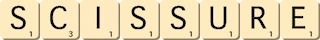 scissure