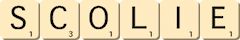 scolie scolie