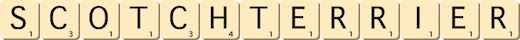 scotch-terrier