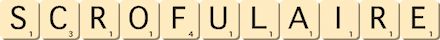 scrofulaire scrofulaire