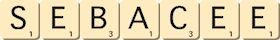 sebacee