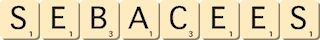 sebacees