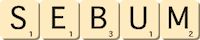 sebum