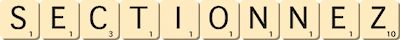 sectionnez