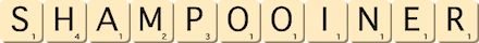 shampooiner